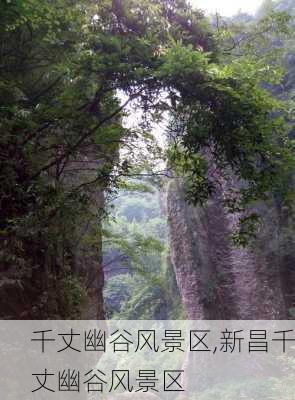 千丈幽谷风景区,新昌千丈幽谷风景区