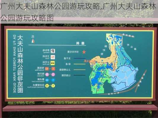 广州大夫山森林公园游玩攻略,广州大夫山森林公园游玩攻略图