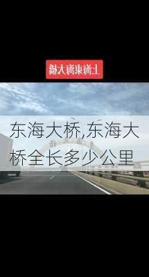 东海大桥,东海大桥全长多少公里