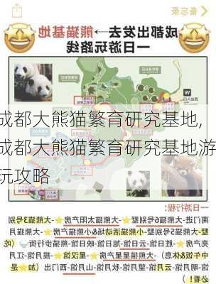 成都大熊猫繁育研究基地,成都大熊猫繁育研究基地游玩攻略