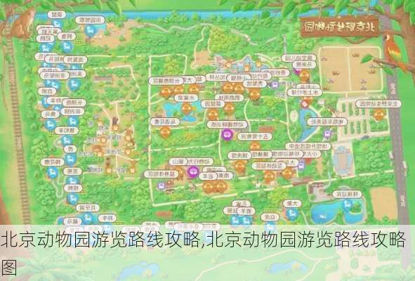 北京动物园游览路线攻略,北京动物园游览路线攻略图