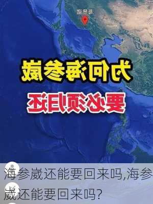 海参崴还能要回来吗,海参崴还能要回来吗?