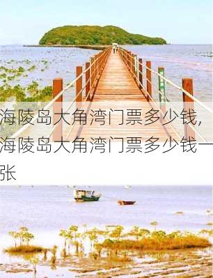 海陵岛大角湾门票多少钱,海陵岛大角湾门票多少钱一张