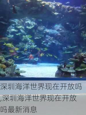 深圳海洋世界现在开放吗,深圳海洋世界现在开放吗最新消息