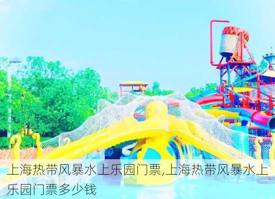 上海热带风暴水上乐园门票,上海热带风暴水上乐园门票多少钱