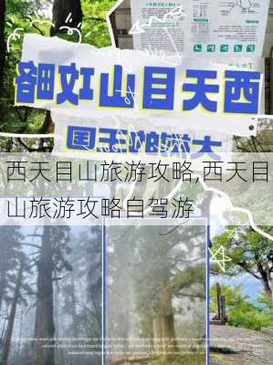 西天目山旅游攻略,西天目山旅游攻略自驾游