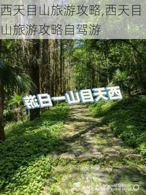 西天目山旅游攻略,西天目山旅游攻略自驾游