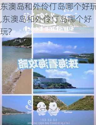 东澳岛和外伶仃岛哪个好玩,东澳岛和外伶仃岛哪个好玩?