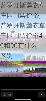 普罗旺斯薰衣草庄园门票价格,普罗旺斯薰衣草庄园门票价格49和90有什么区别