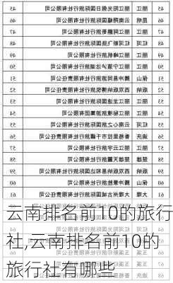 云南排名前10的旅行社,云南排名前10的旅行社有哪些