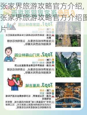 张家界旅游攻略官方介绍,张家界旅游攻略官方介绍图片