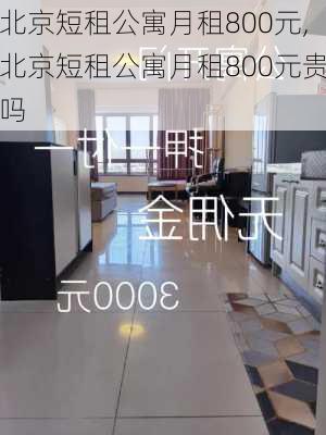 北京短租公寓月租800元,北京短租公寓月租800元贵吗